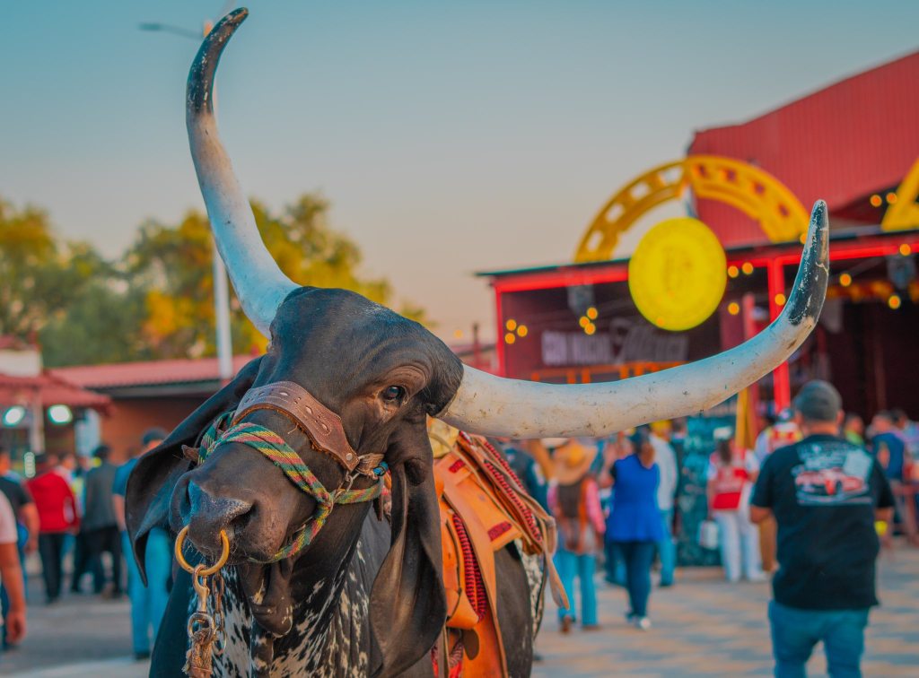 Destinos finde semana Edomex